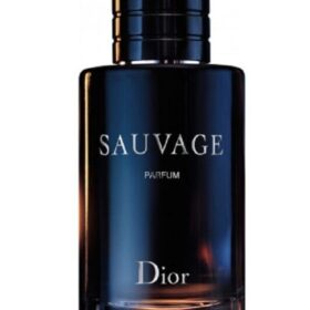 Wild Dior Perfume 